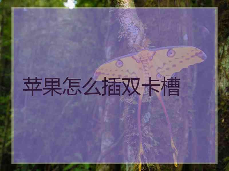 苹果怎么插双卡槽