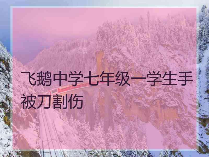 飞鹅中学七年级一学生手被刀割伤