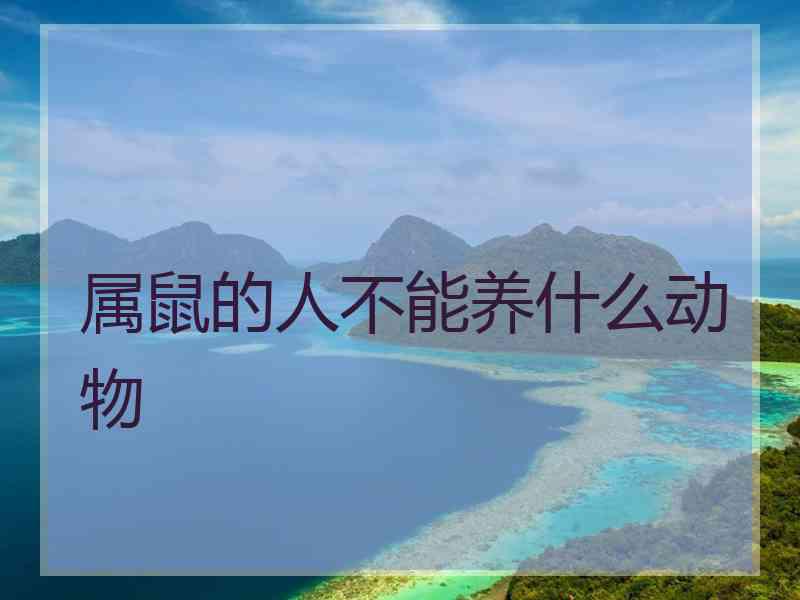 属鼠的人不能养什么动物
