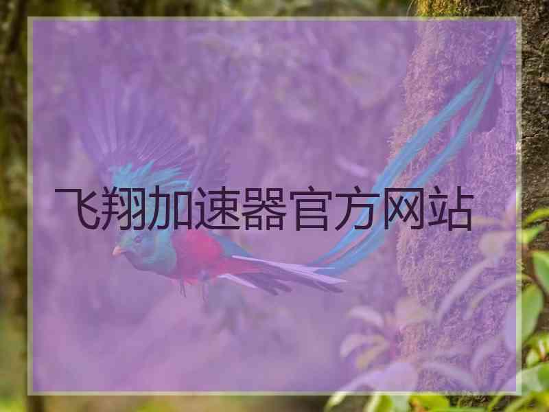 飞翔加速器官方网站