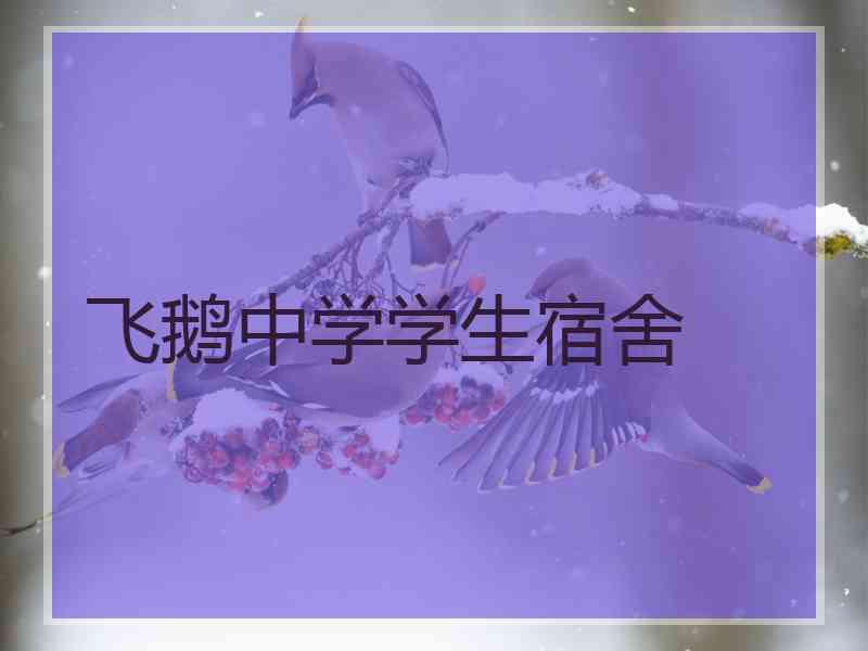 飞鹅中学学生宿舍