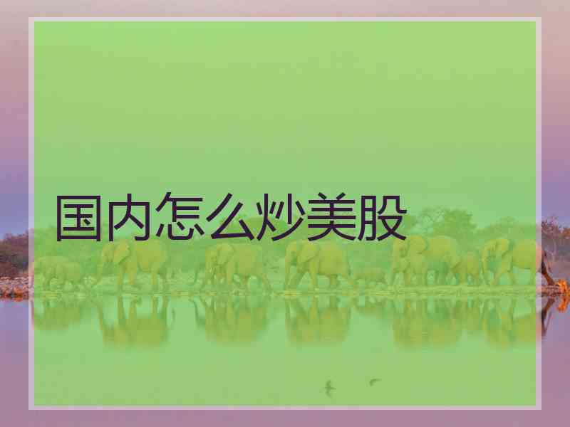 国内怎么炒美股