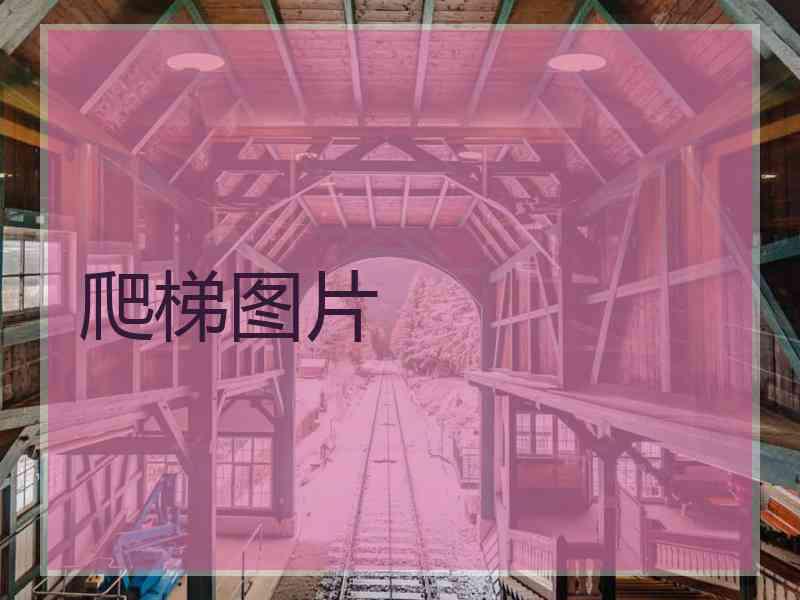 爬梯图片