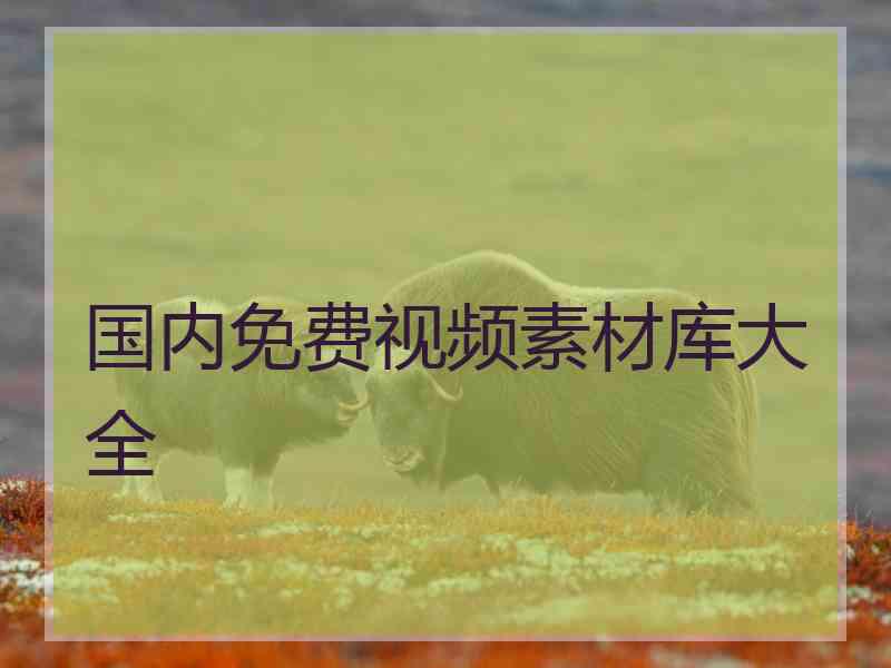 国内免费视频素材库大全