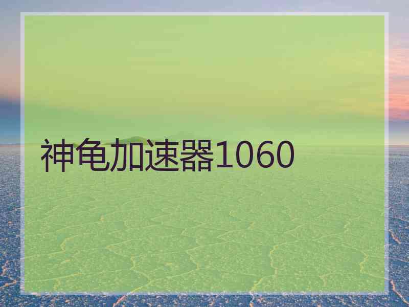 神龟加速器1060