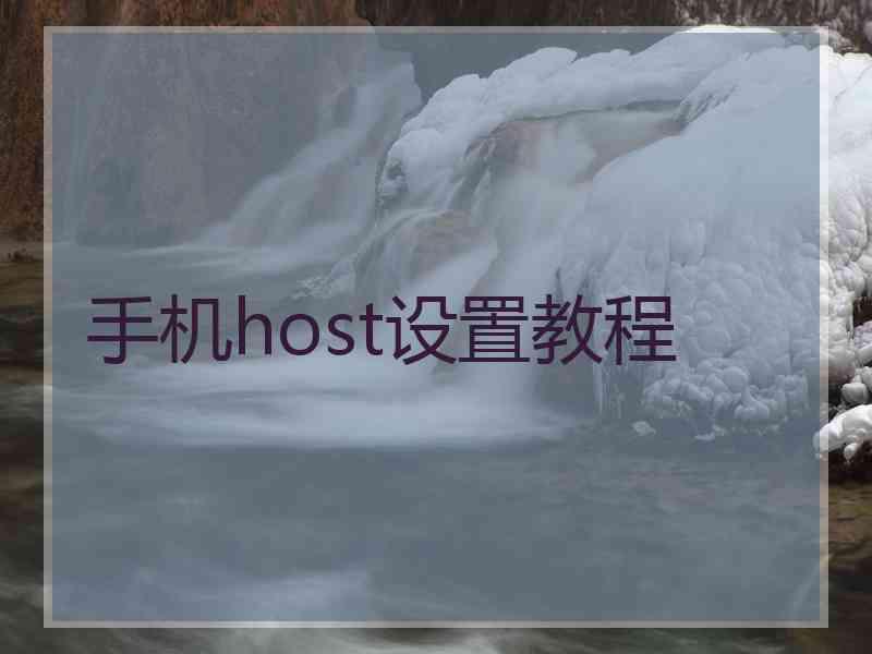 手机host设置教程