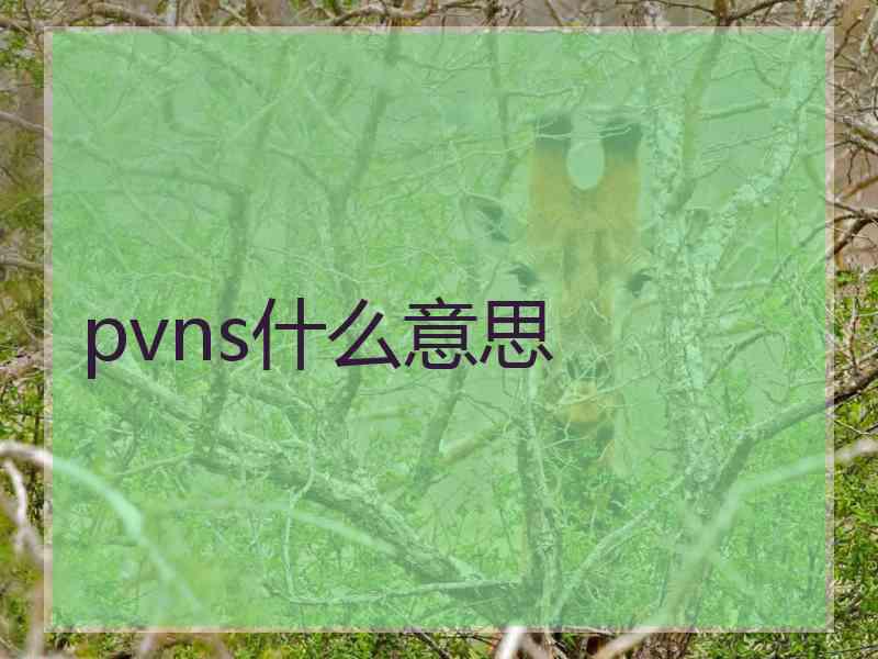 pvns什么意思