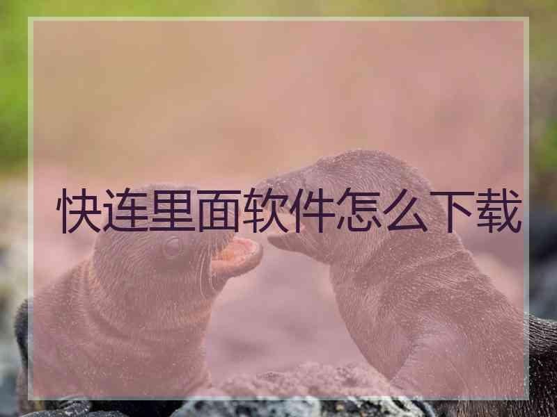 快连里面软件怎么下载