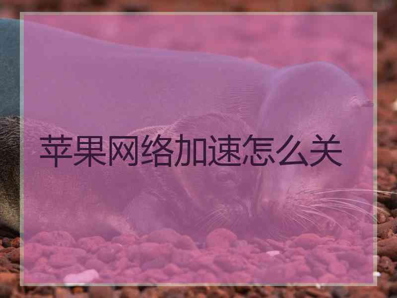 苹果网络加速怎么关