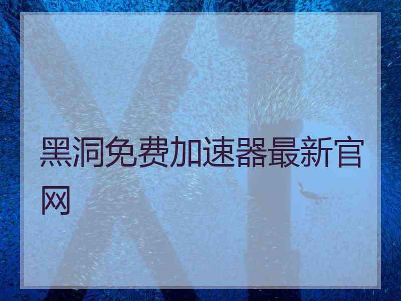 黑洞免费加速器最新官网