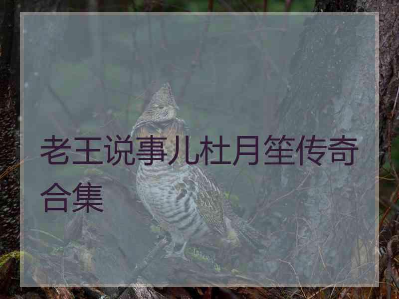 老王说事儿杜月笙传奇合集