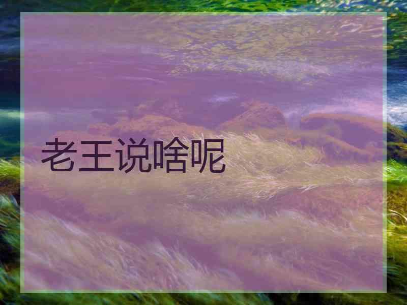 老王说啥呢