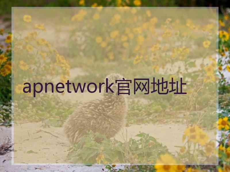 apnetwork官网地址