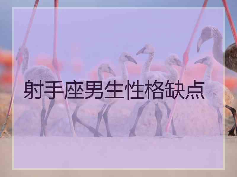 射手座男生性格缺点