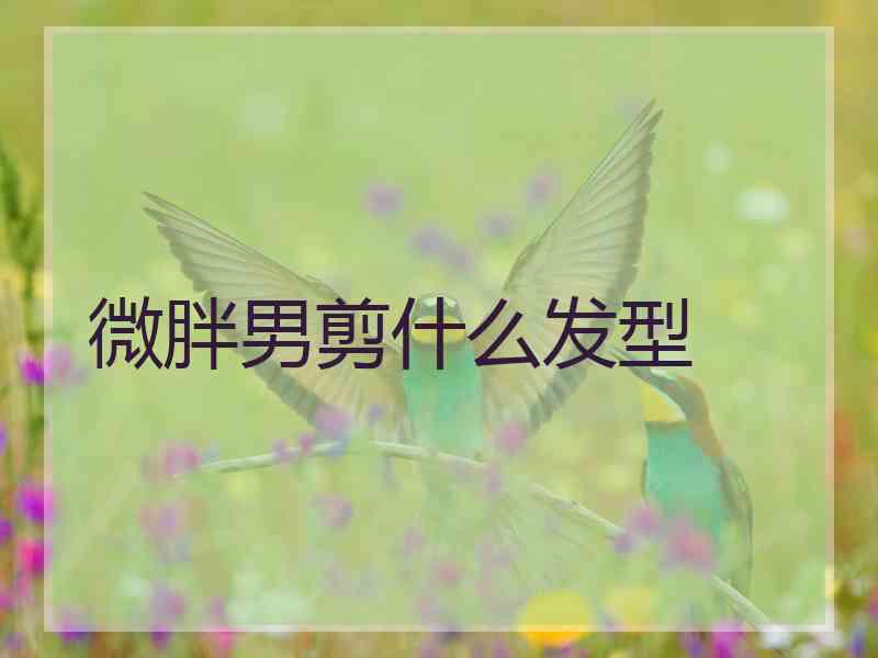 微胖男剪什么发型