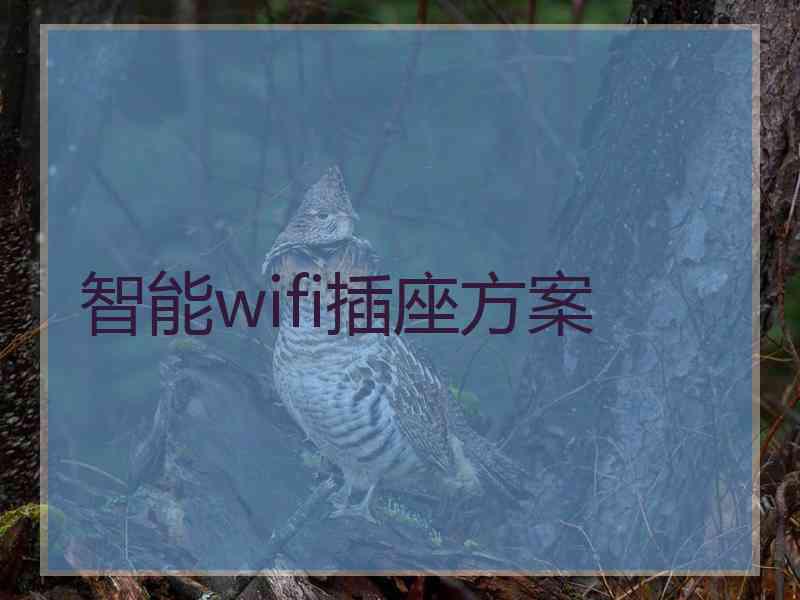 智能wifi插座方案