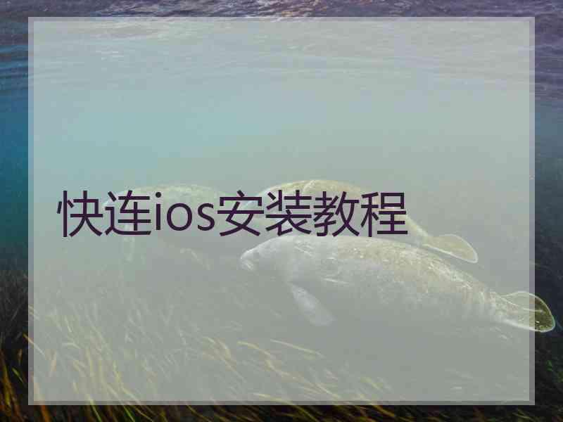 快连ios安装教程