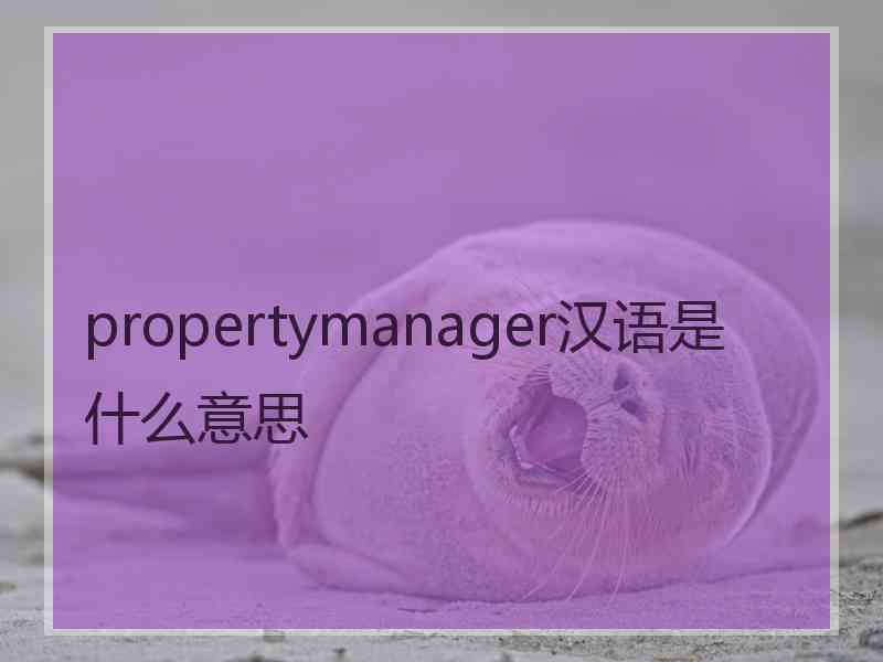 propertymanager汉语是什么意思