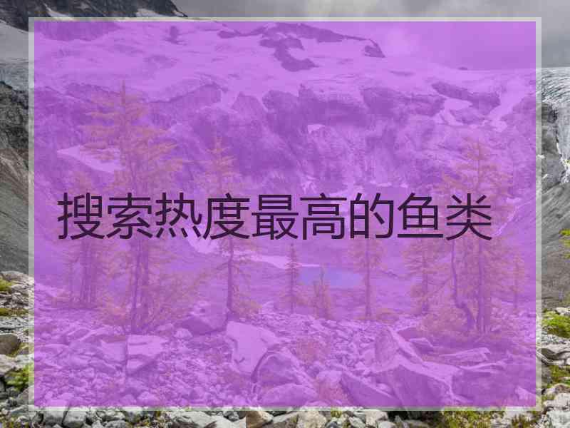 搜索热度最高的鱼类