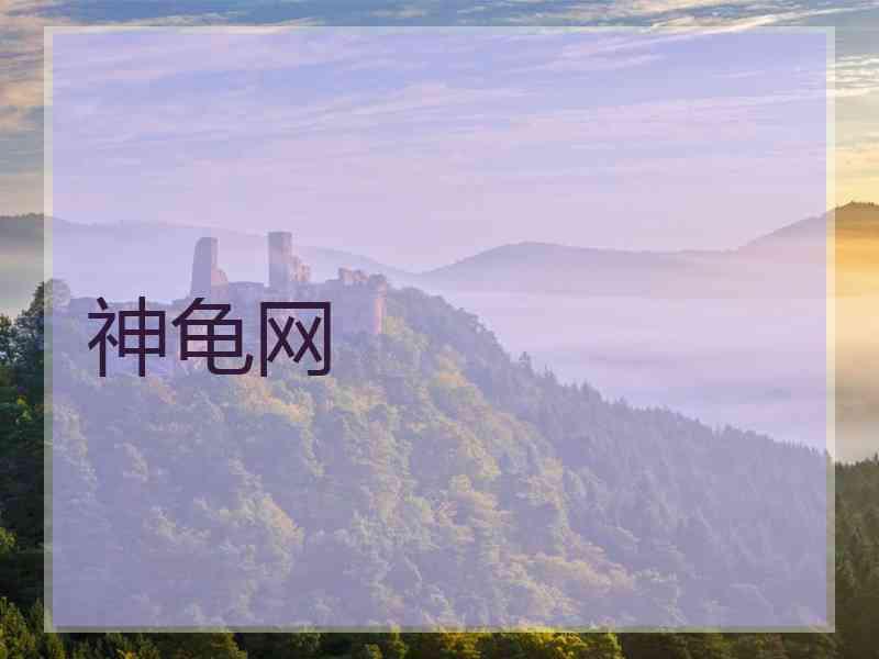 神龟网