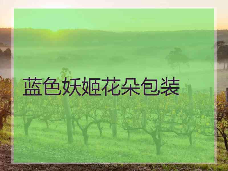 蓝色妖姬花朵包装