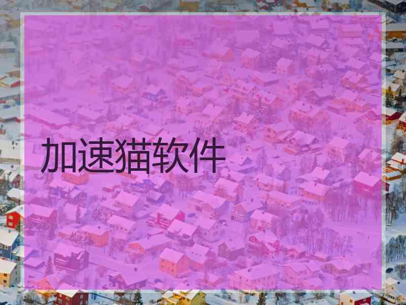 加速猫软件