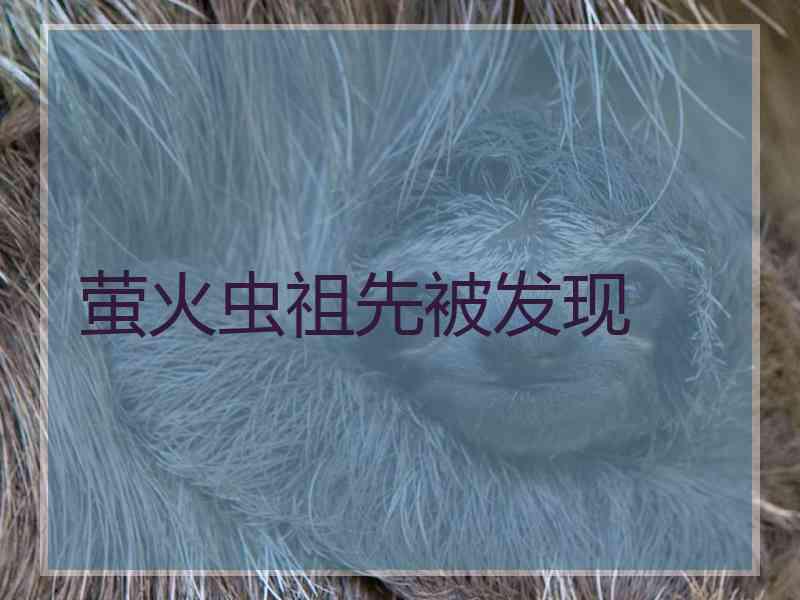 萤火虫祖先被发现