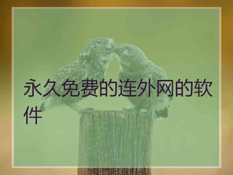 永久免费的连外网的软件