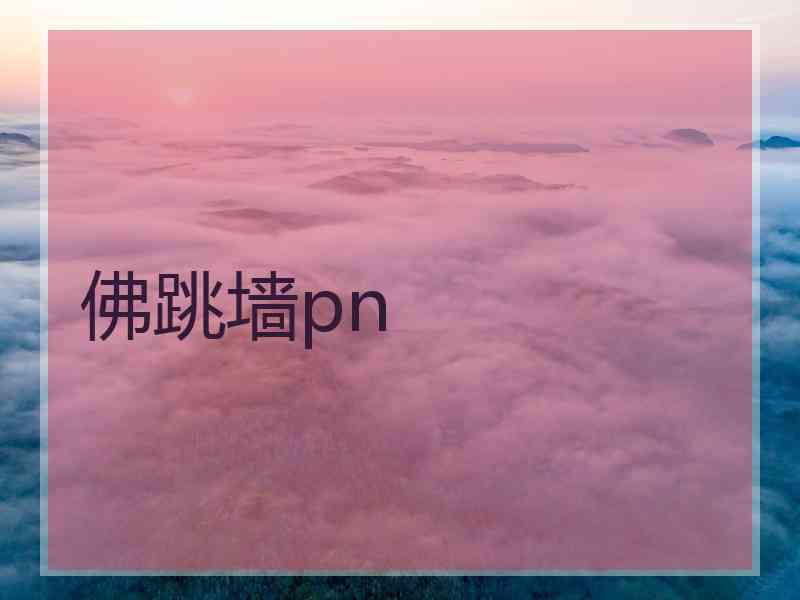 佛跳墙pn