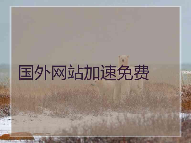 国外网站加速免费