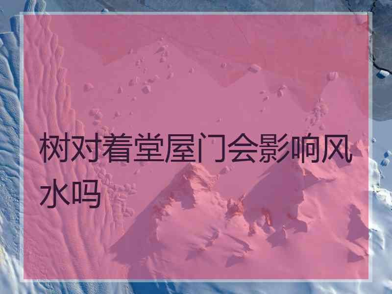 树对着堂屋门会影响风水吗