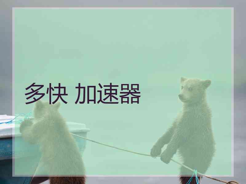 多快 加速器