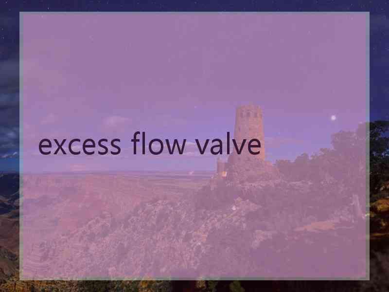 excess flow valve