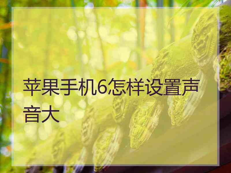 苹果手机6怎样设置声音大