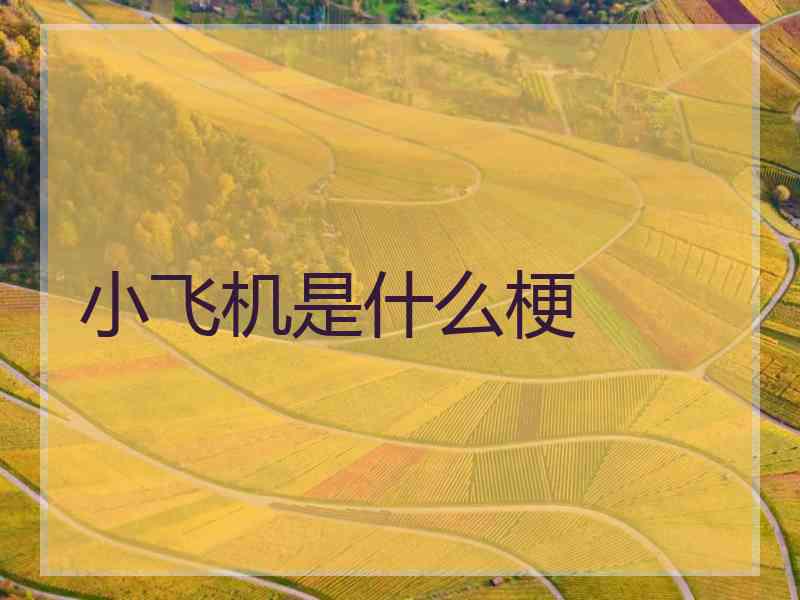 小飞机是什么梗