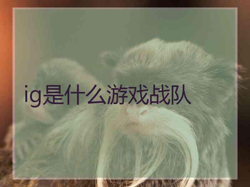 ig是什么游戏战队