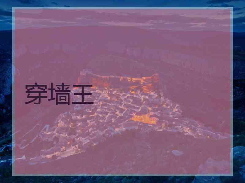 穿墙王