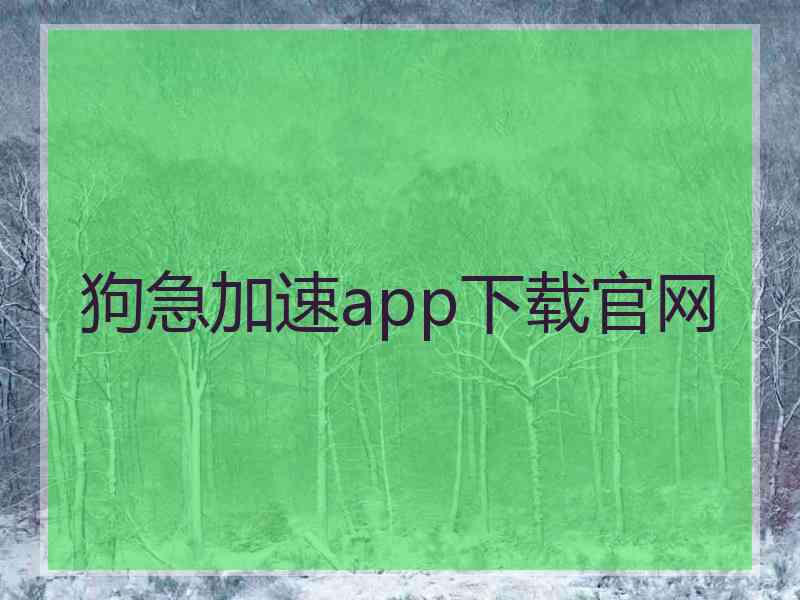 狗急加速app下载官网