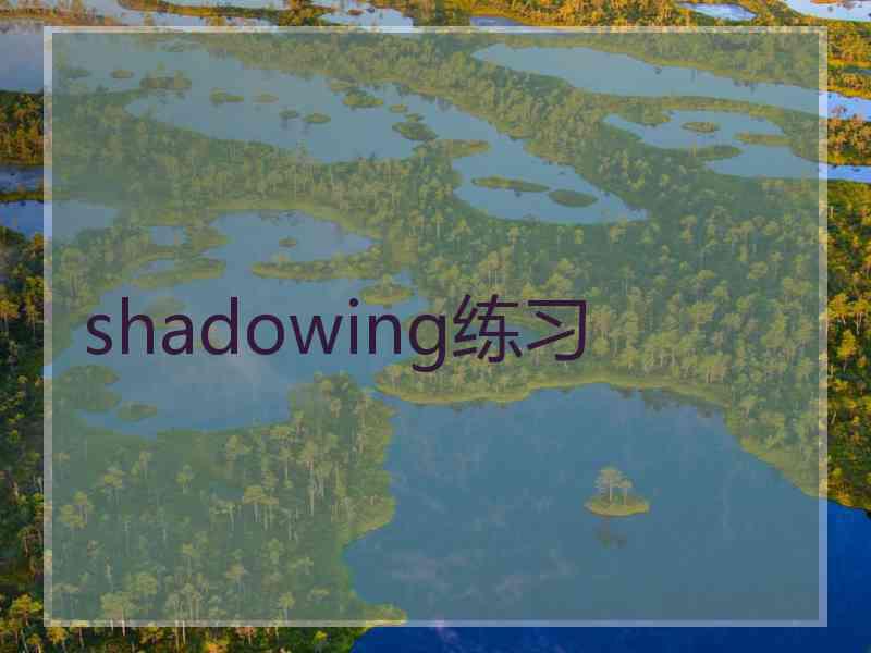shadowing练习