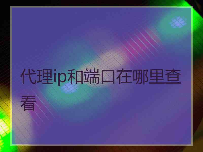代理ip和端口在哪里查看