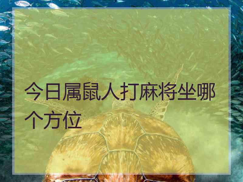 今日属鼠人打麻将坐哪个方位