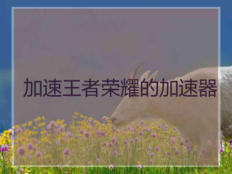 加速王者荣耀的加速器