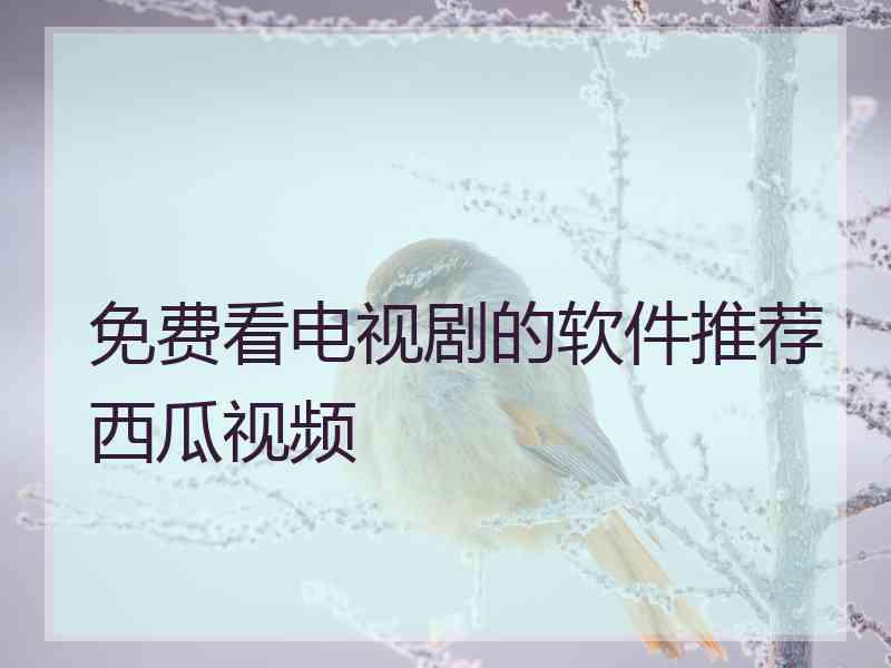 免费看电视剧的软件推荐西瓜视频
