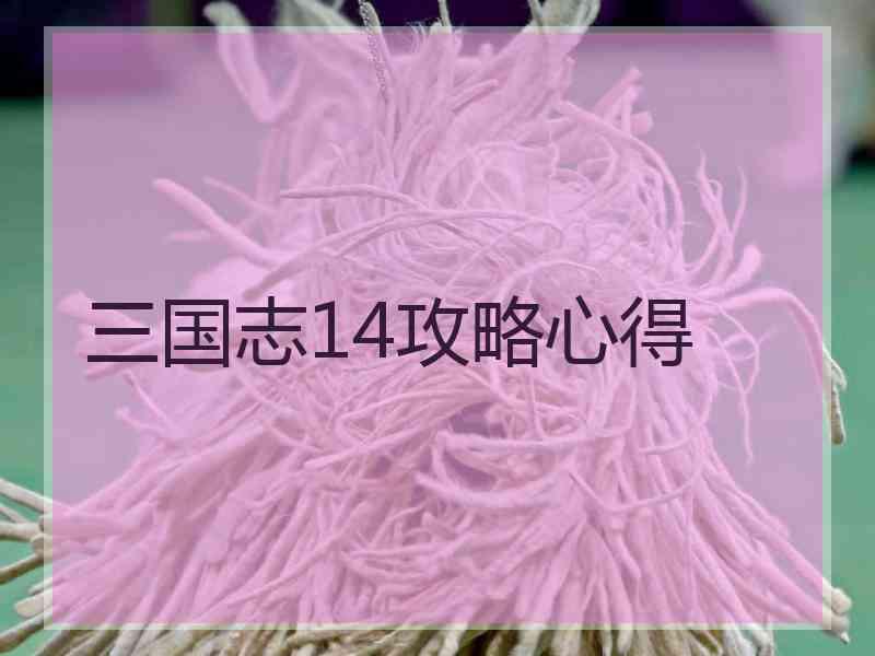 三国志14攻略心得