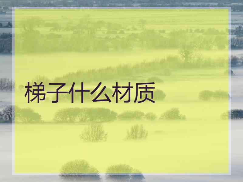梯子什么材质