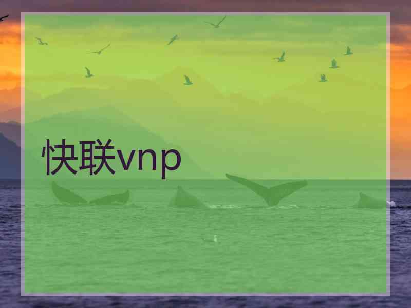 快联vnp