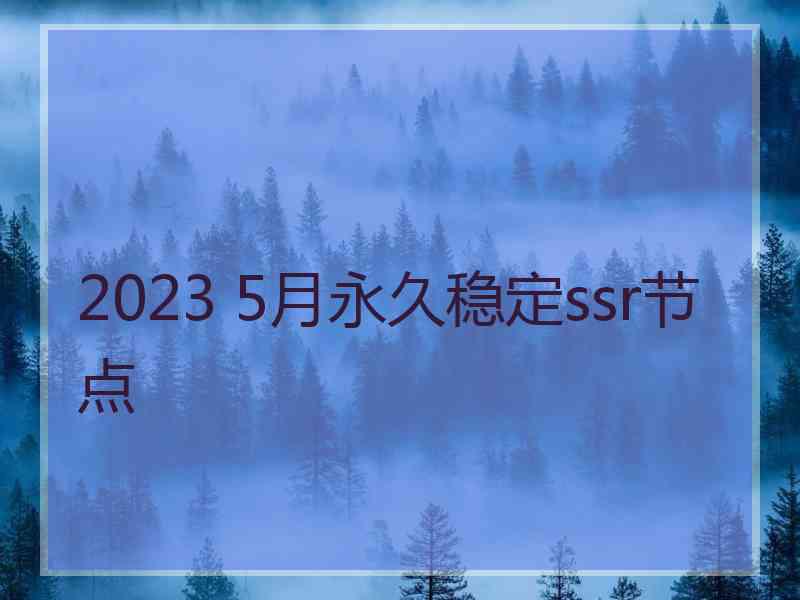 2023 5月永久稳定ssr节点