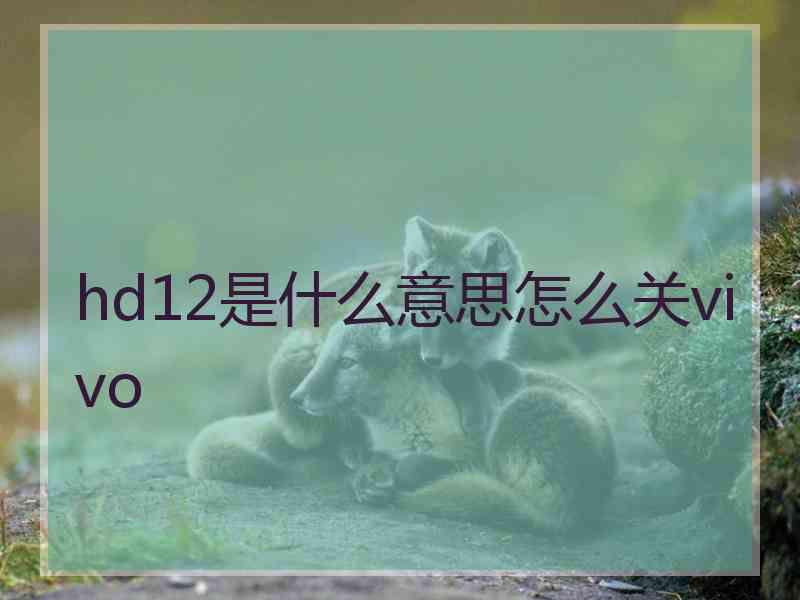 hd12是什么意思怎么关vivo