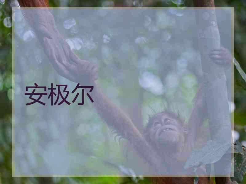 安极尔