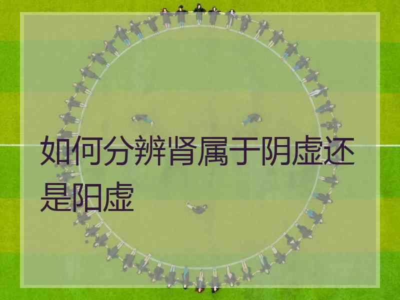 如何分辨肾属于阴虚还是阳虚